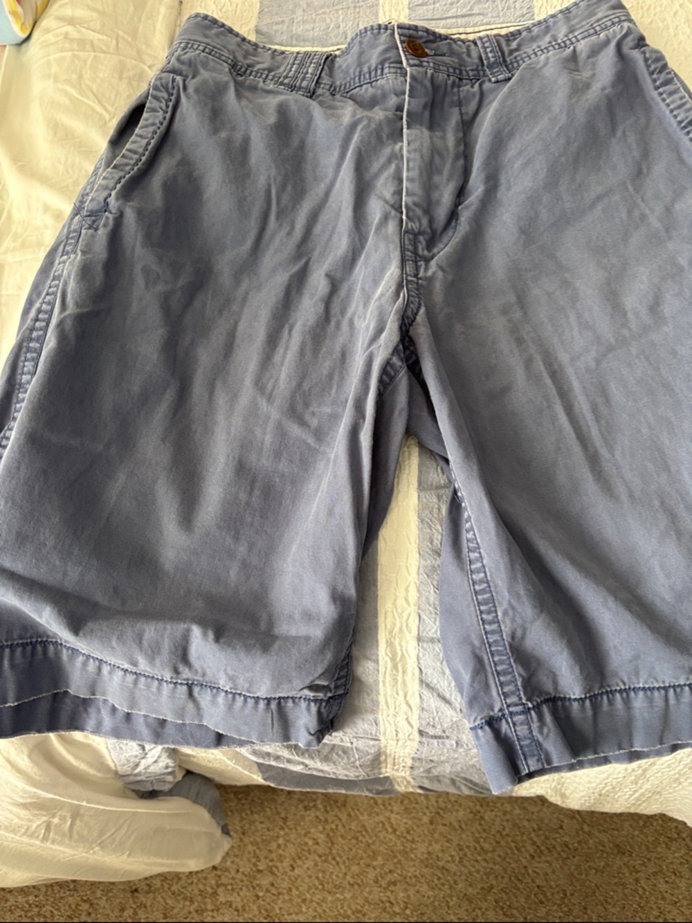 American Eagle Outfitters Men's Light Blue Flat Front Shorts